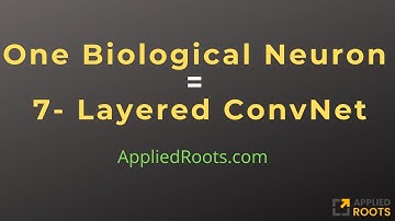 Simulating a biological Neuron using Deep Learning