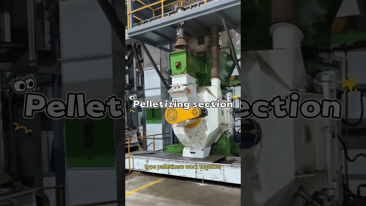 East China 20 t/h Log-to-Pellet Line: 162 L/TPH Biomass Energy Project
