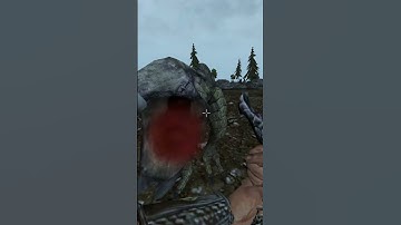 Killing the adoring fan in Morrowind every day until Skywind and Skyblivion are released Day - 394