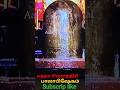 #lordshiva #god #மஹா சிவராத்திரி பால் அபிஷேகம்...