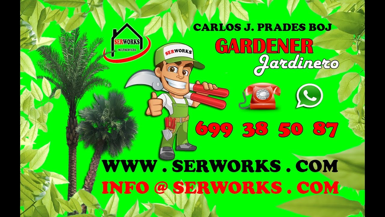 Podas de mantenimiento en jardín  ♥ adelfas ♦ ciprés y palmera ♣