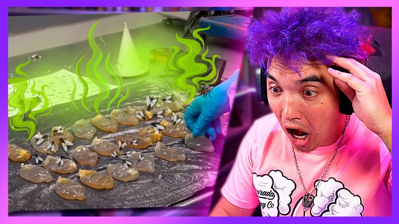 NUNCA HAGAS ESTO EN UN AEROPUERTO 🤢 ALERTA AEROPUERTO