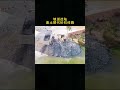Land reclamation, land reclamation, construction machinery, bulldozers, road construction, profe