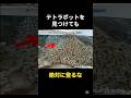 テトラポットに登って宇宙に靴飛ばしてはいけない理由 #雑学 #事故 #怖い