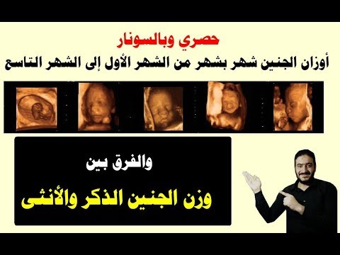 فيديو: كيفية تحديد حجم الجنين