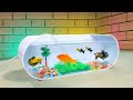 Cara mudah membuat aquarium minimalis dari pipa pvc