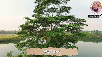 سورة الفرقان/ القارئ أبو سفيان