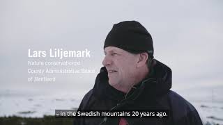 Green infrastructure in practice - Felles Fjellrev | Swedish EPA
