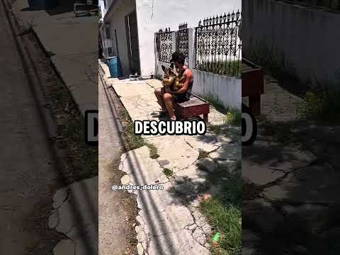 Cuidado en carretera con estos Animales