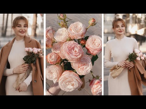 ჩემი ერთი დღე