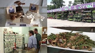 Mushroom Farming, Planting a Fall Garden & Asian Green Beans & Mushrooms Dish (Episode #366)