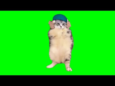 Cat Dancing to Girlfriend (HD GREEN SCREEN)