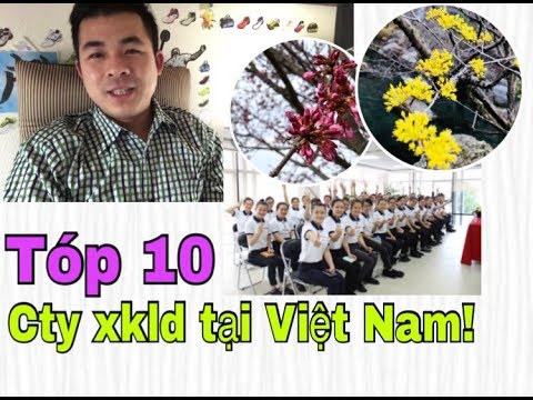 Tổng hợp 10 công ty xuất khẩu lao động uy tín nhất tại Tỉnh Đồng Tháp
