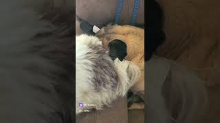Как надоела зима уже