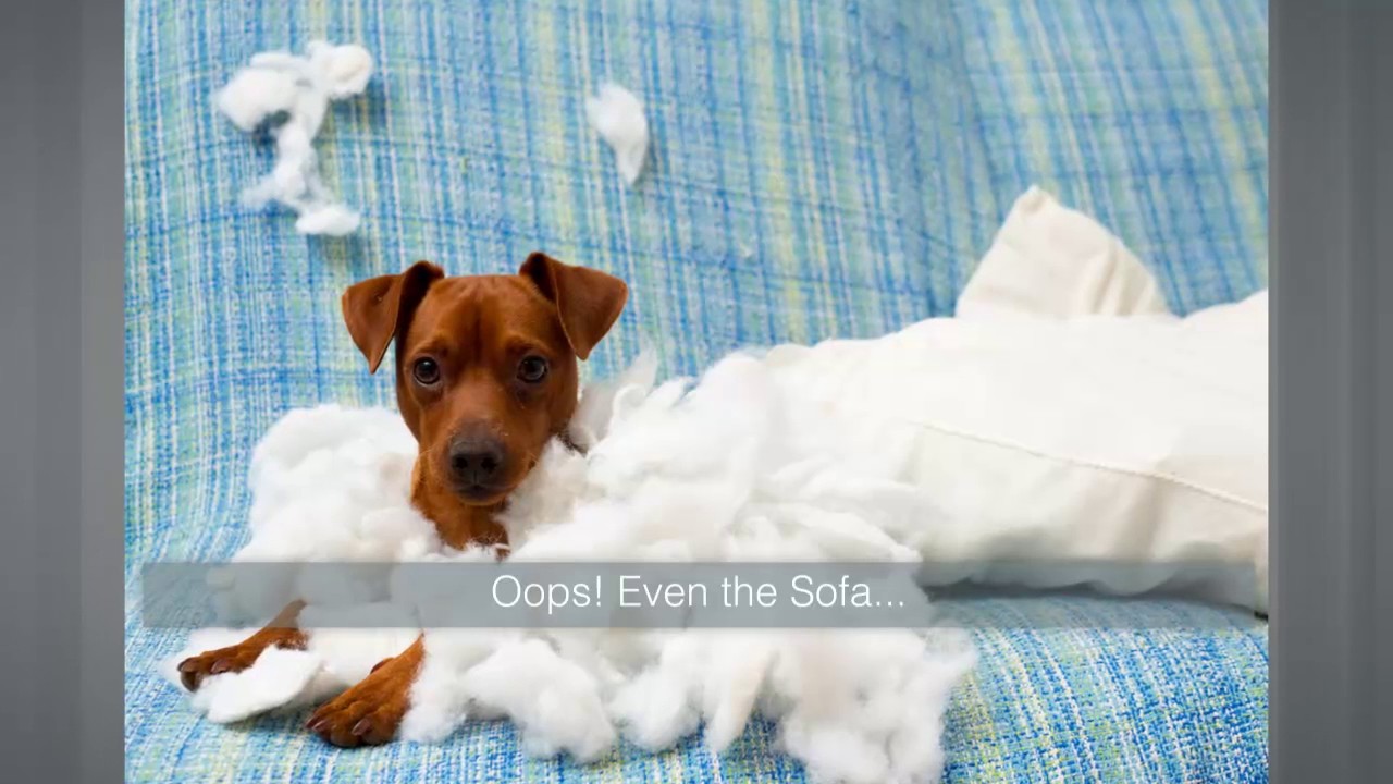 Furniture Repair in McKinney Texas 2146062760 Furniture Fixology YouTube