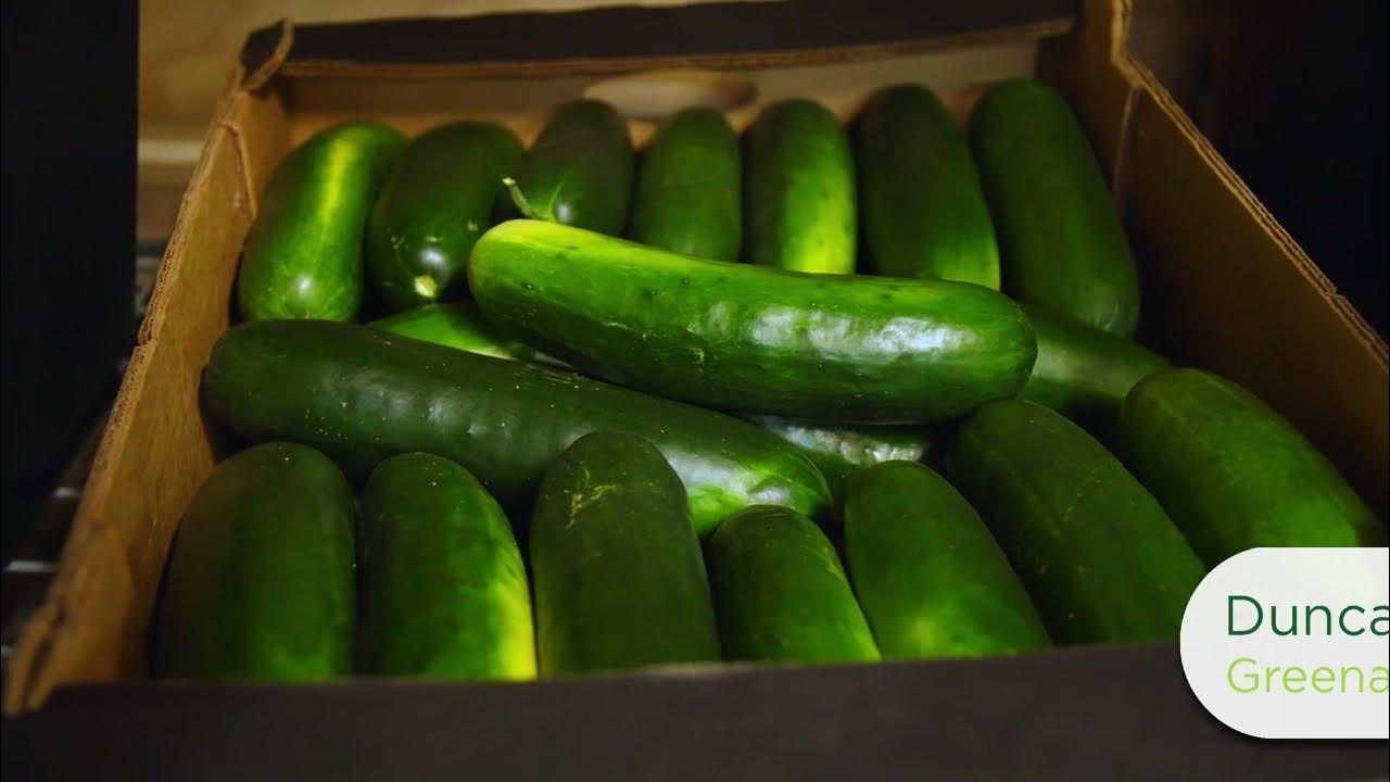 Duncan Produce Greenacres, WA Washington Grown YouTube