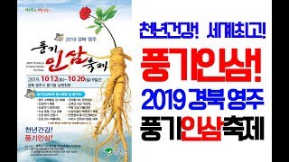 2019풍기인삼축제