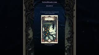 Card 2 Reveal: The Seven of Pentacles Reversed — Co-Founder Dynamics