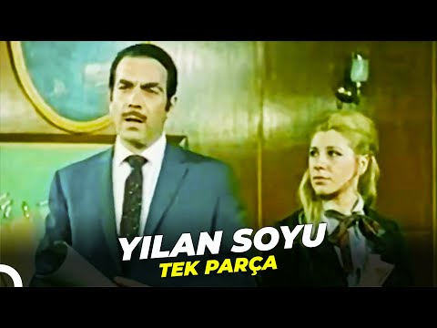 Yılan Soyu | Ayhan Işık Türk Dram Filmi