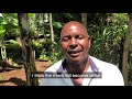 Kenya TIST programme. June 2019