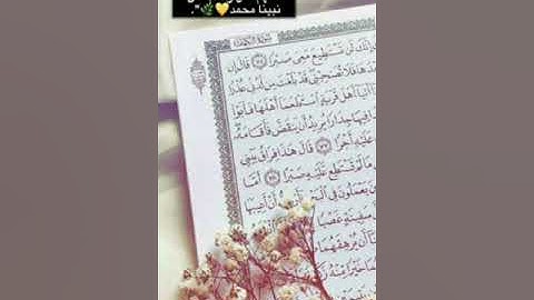 سورة الزمر للشيخ احمد فهيم  #سورة_الزمر #الشيخ_احمدفهيم