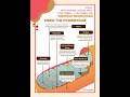 Mitochondrion Structure Explained Simply | 21 Seconds