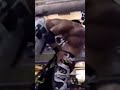 Tajiri Hits Low Ki With A Brainbuster Indies Indywrestling Tajiri Wwe Tajiri Hits Low Ki With A Brainbuster Indies Indywrestling Tajiri Wwe
