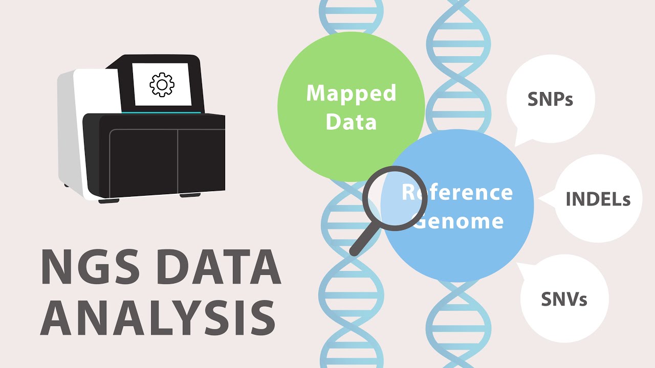 omfatte læber pludselig 4) Next Generation Sequencing (NGS) - Data Analysis - YouTube