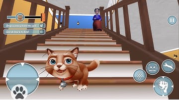 Bad Cat Game Grandma Simulator - Full Gameplay Walkthrough (Android, iOS)