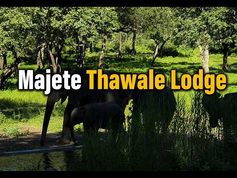 Majete Thawale Lodge Wildlife camera source preview