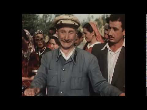 რა ვიცი ბიძია, ყველა ტიროდა