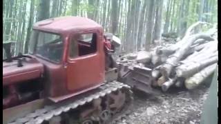 extreme logging DT 75 slovakia