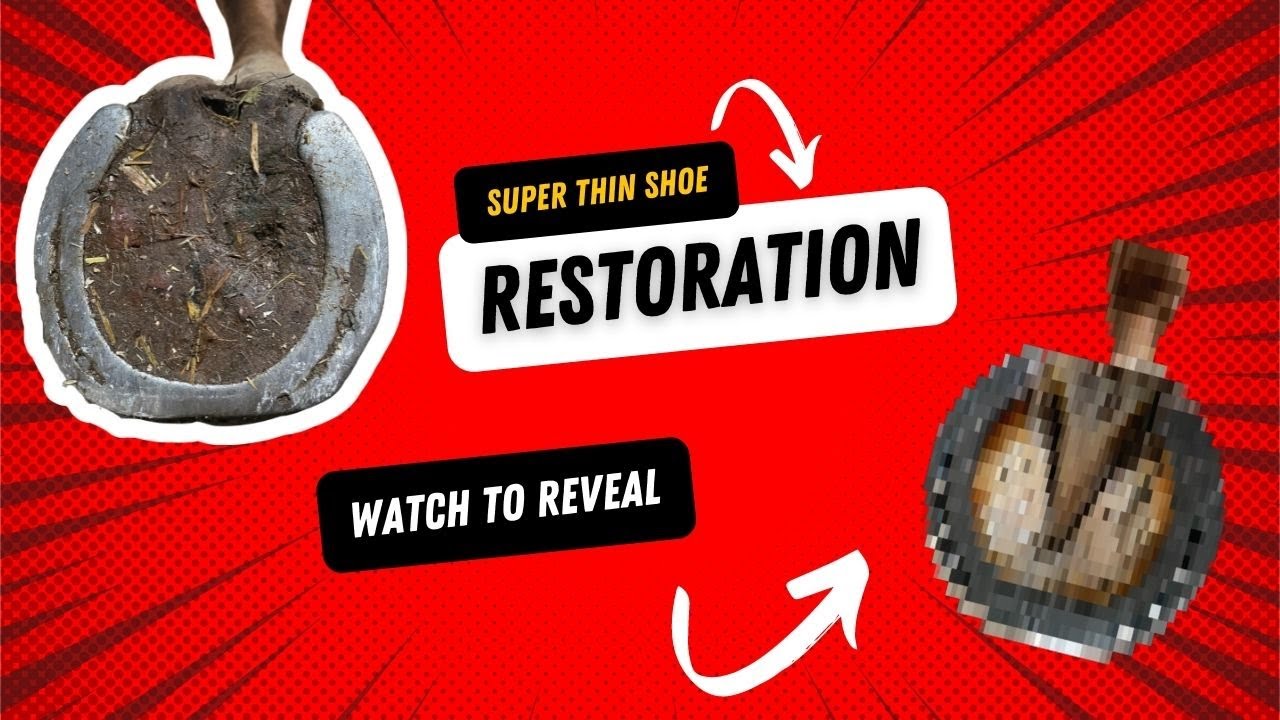 SATISFYING/RESTORATION/HORSESHOEING YouTube