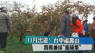 11月出遊！ 台中福壽山賞楓兼採「蜜蘋果」