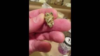 Strains