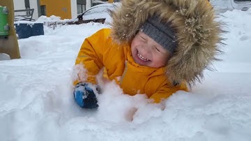 Understanding Schema Theory: Simple Examples & Teaching Tips