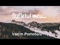 Vadim Pomotaru - Sufletul meu