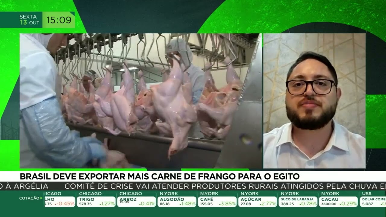 Brasil deve exportar mais carne de frango para o egito