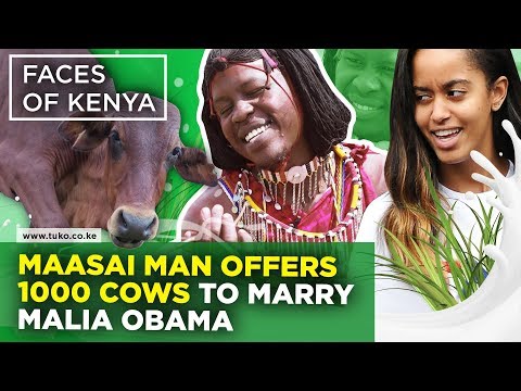 Maasai Man Offers 1000 Cows To Marry Malia Obama Tuko TV