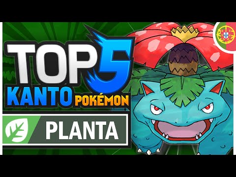 TOP 5 POKÉMON (PT-PT) 