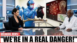 Crow Communication Was Just Decoded… What It Reveals About Humans Is Shocking!