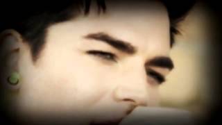 Adam Lambert Everybody loves him!