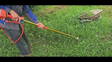 cắt cỏ pin 48v ! 