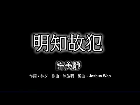 02 許美靜  明知故犯 [LYRICS]