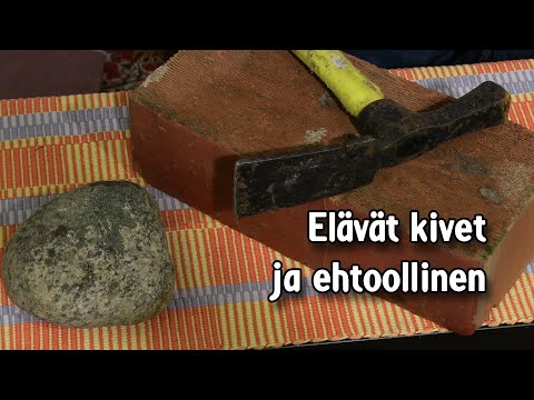 Video: Esi-isämme - Elävät Kivet - Vaihtoehtoinen Näkymä