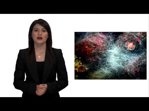 BAHÇE TARIMI II - Ünite8 Özet