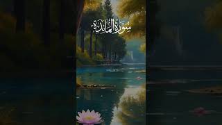 What are the benefits of Al-Maidah