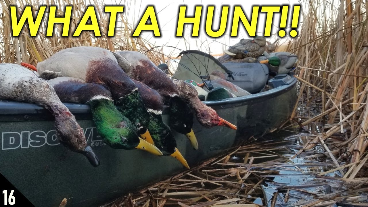 EPIC Migration Day Solo Hunt! | Kayak Duck Hunt 2019