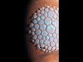 Why Mars Has A Giant Hexagon In Its Sky #Shorts