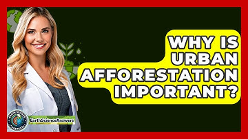 Why Is Urban Afforestation Important? - Earth Science Answers